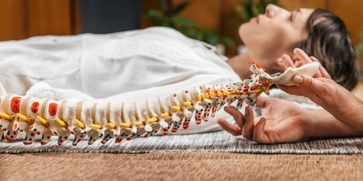 Our Chiropractic Expertise